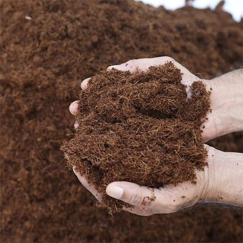 Cocopeat Powder