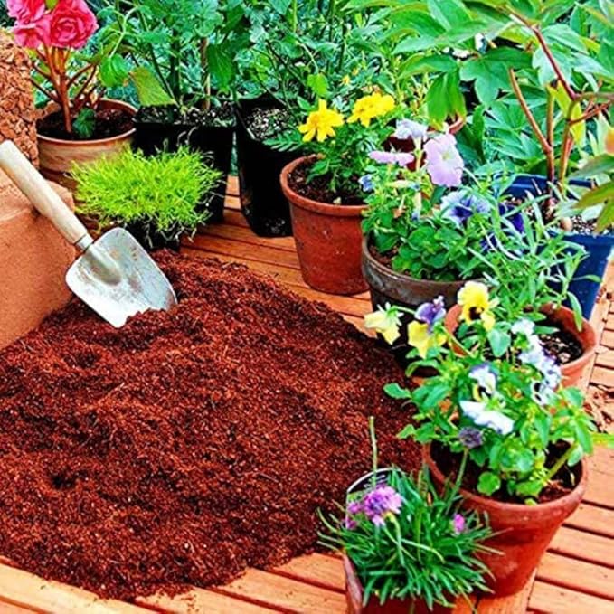 Cocopeat Powder