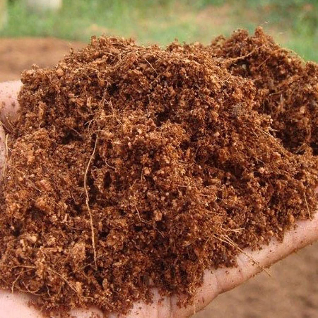 Cocohusk Manure