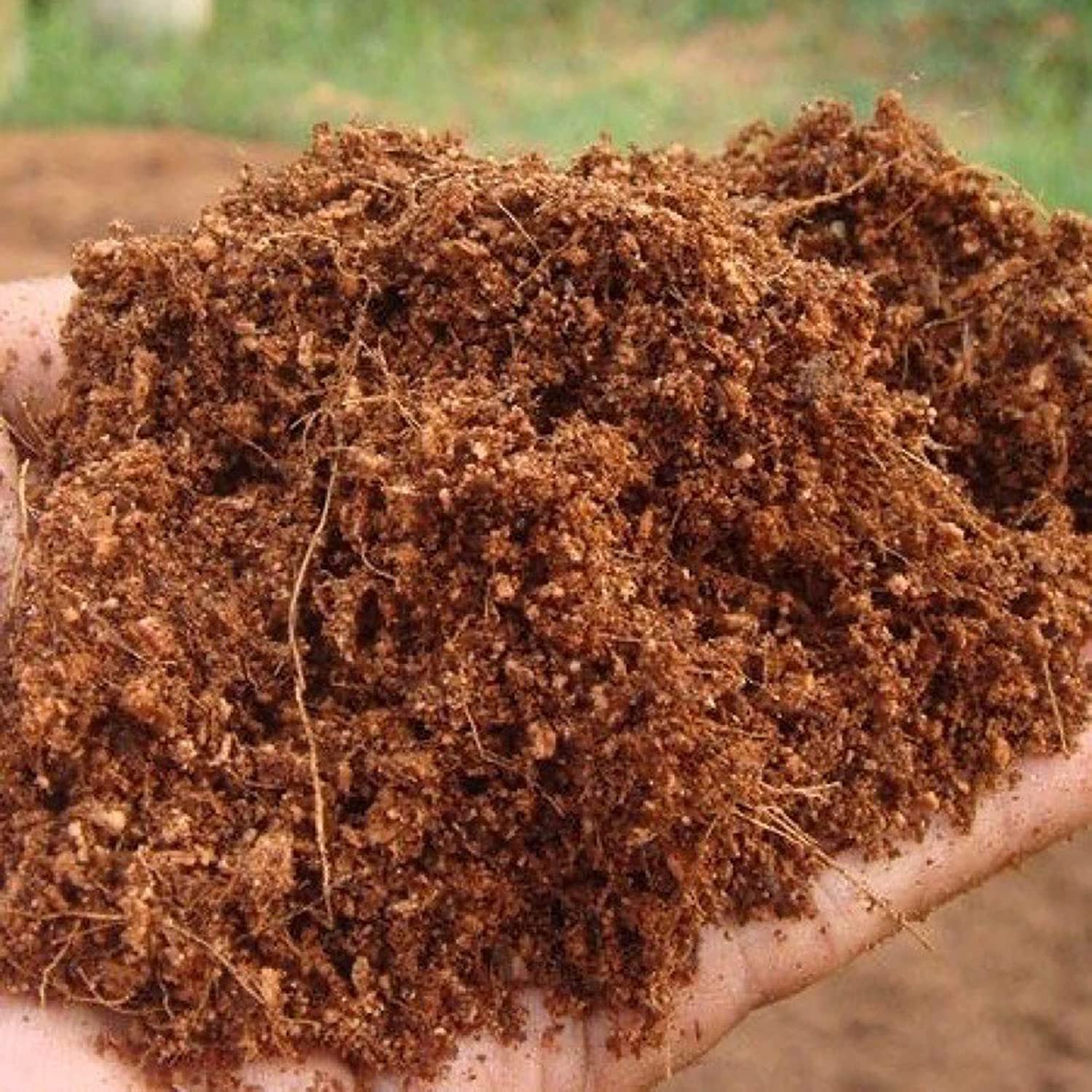 Cocohusk Manure