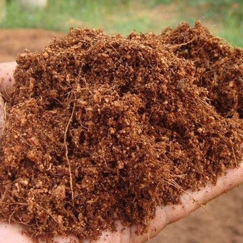 Cocohusk Manure