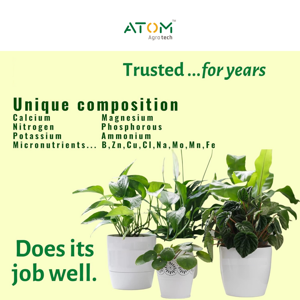 Indoor Plant Food 50ml