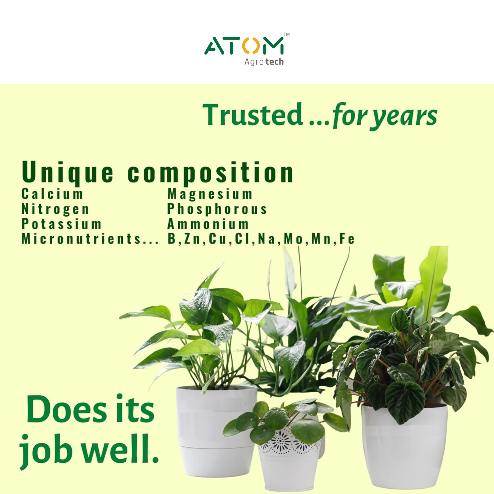 Indoor Plant Food 50ml