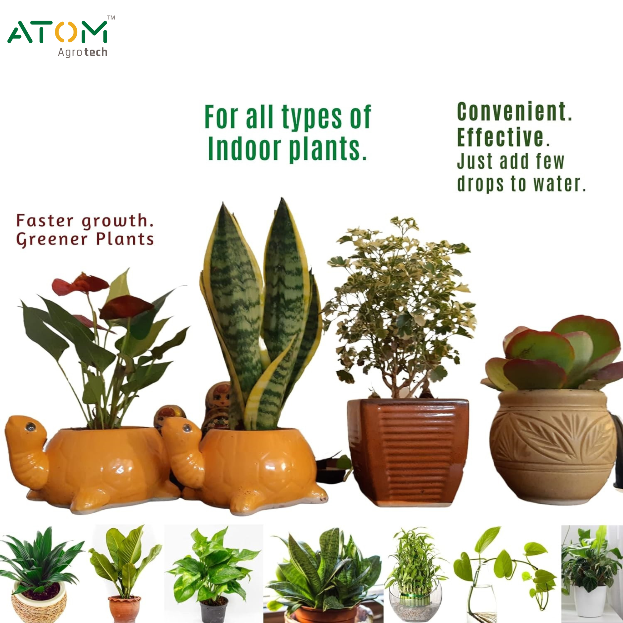 Indoor Plant Food 50ml