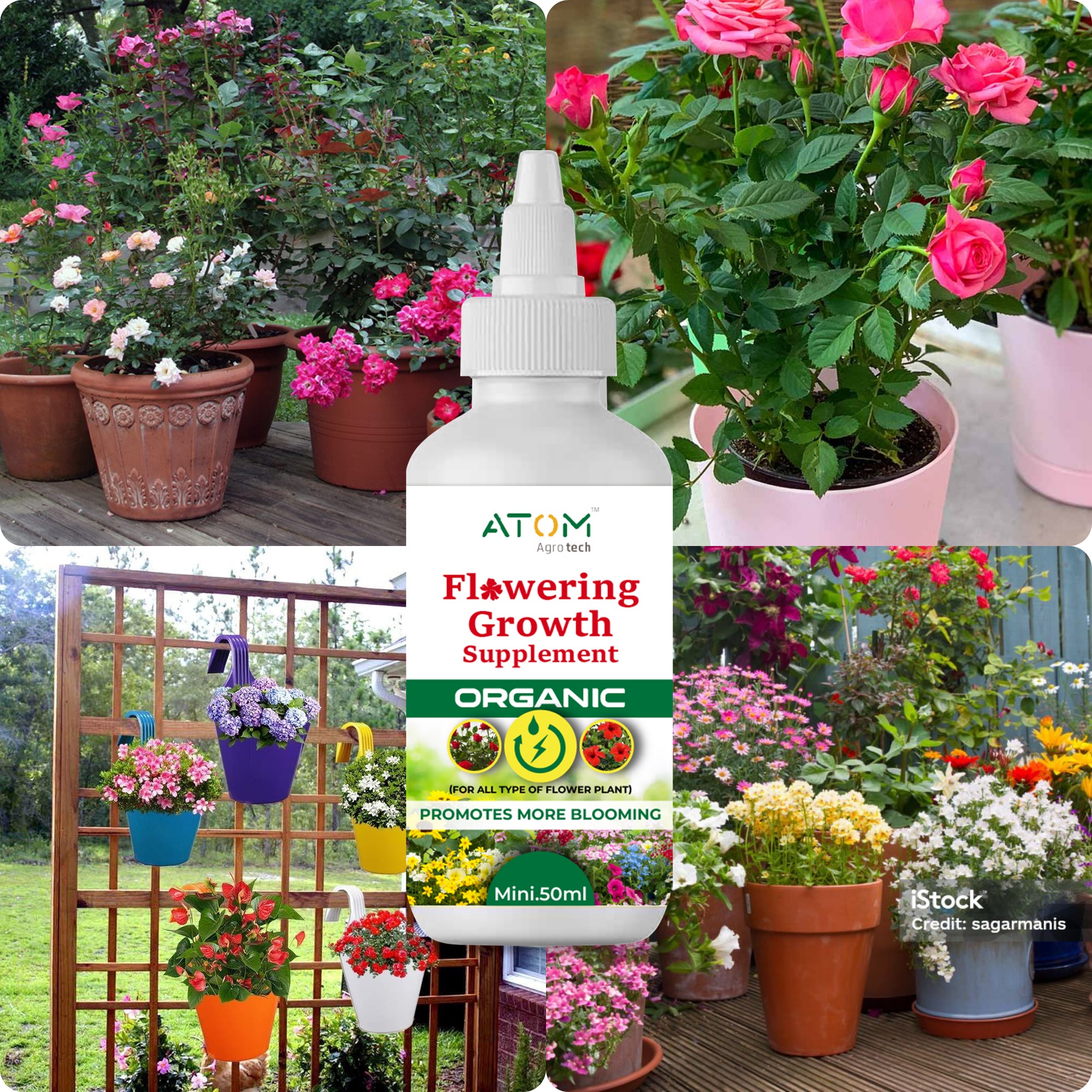 Flowering Growth Supplement 50ml