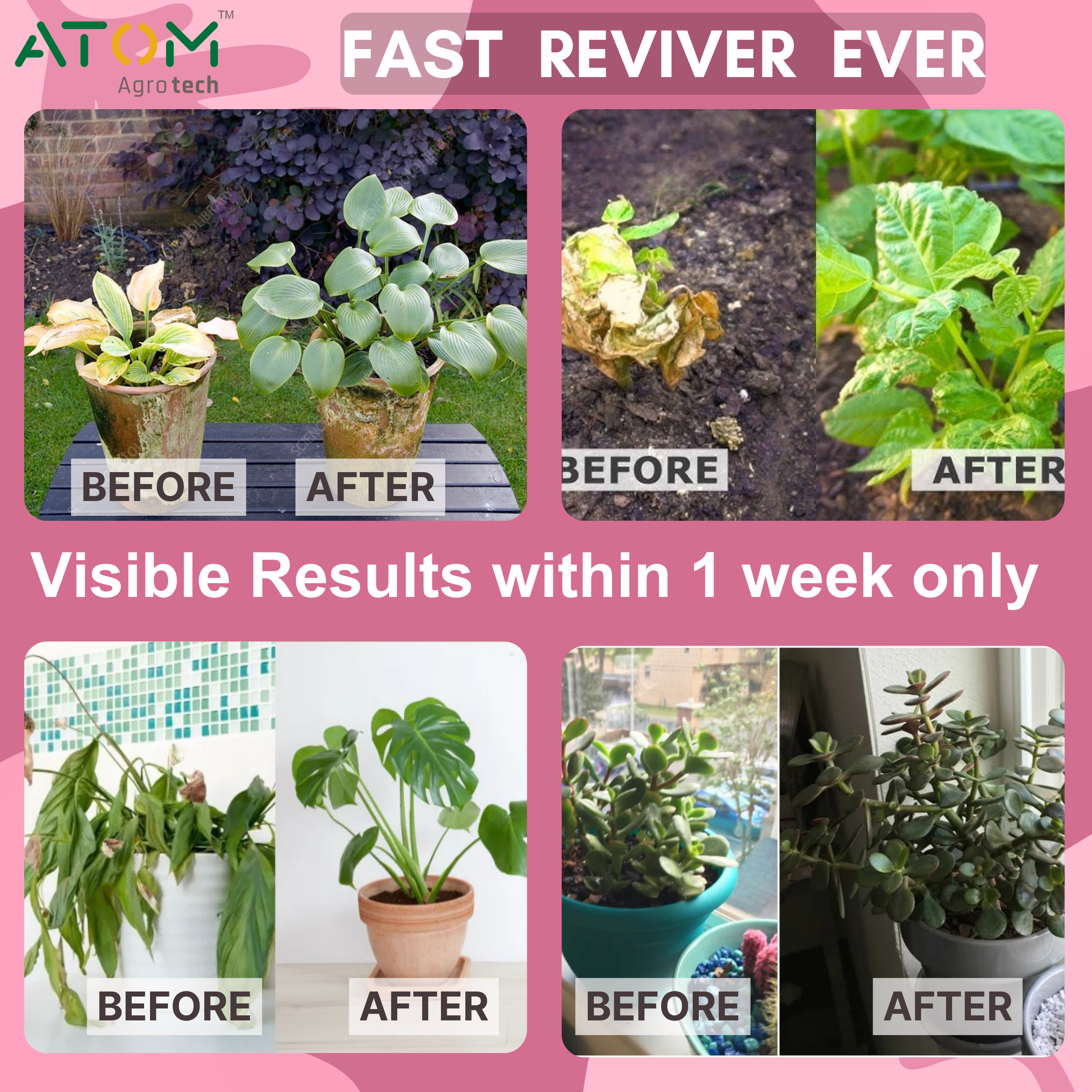 Plant Growth Supplement 50ml