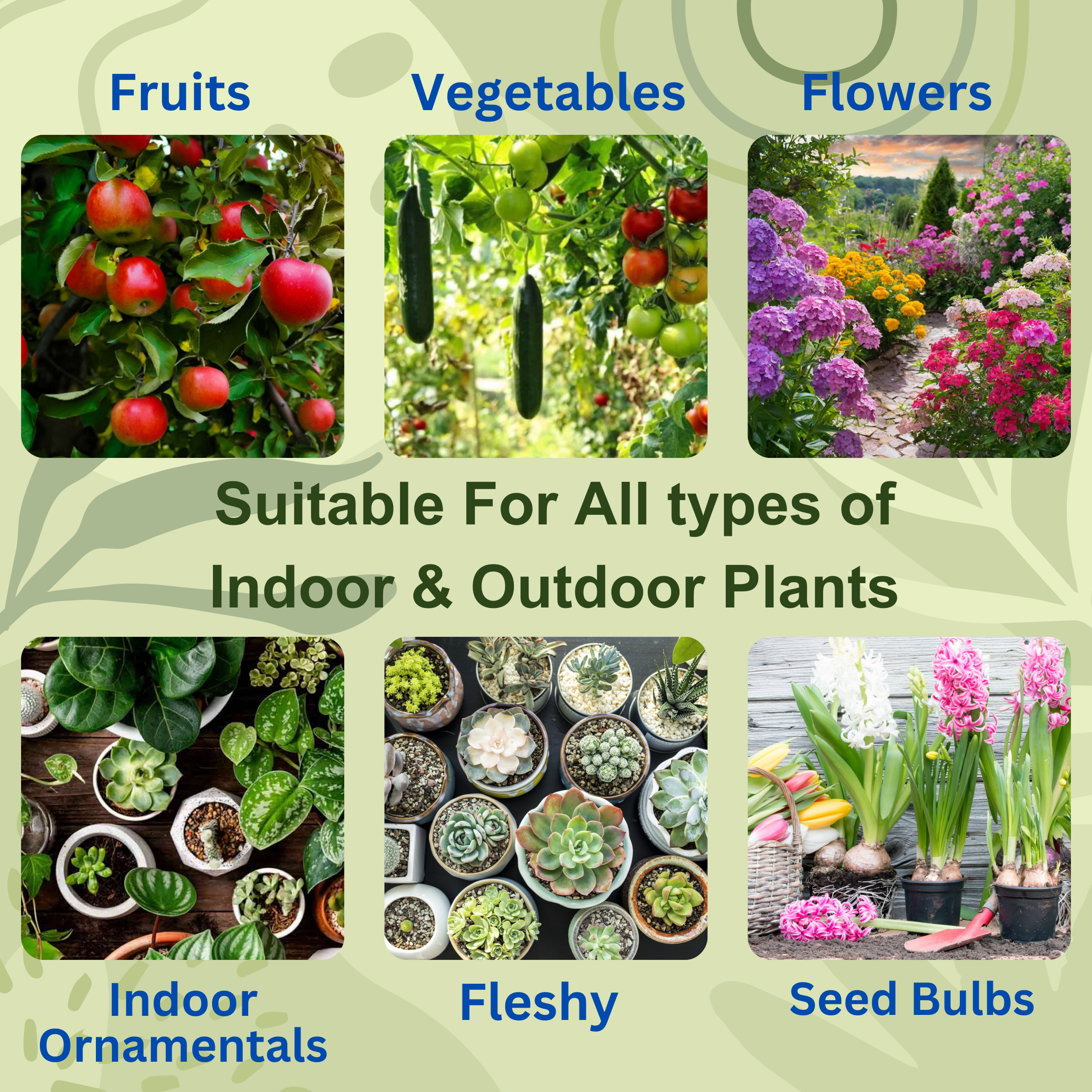 Plant Growth Supplement 50ml