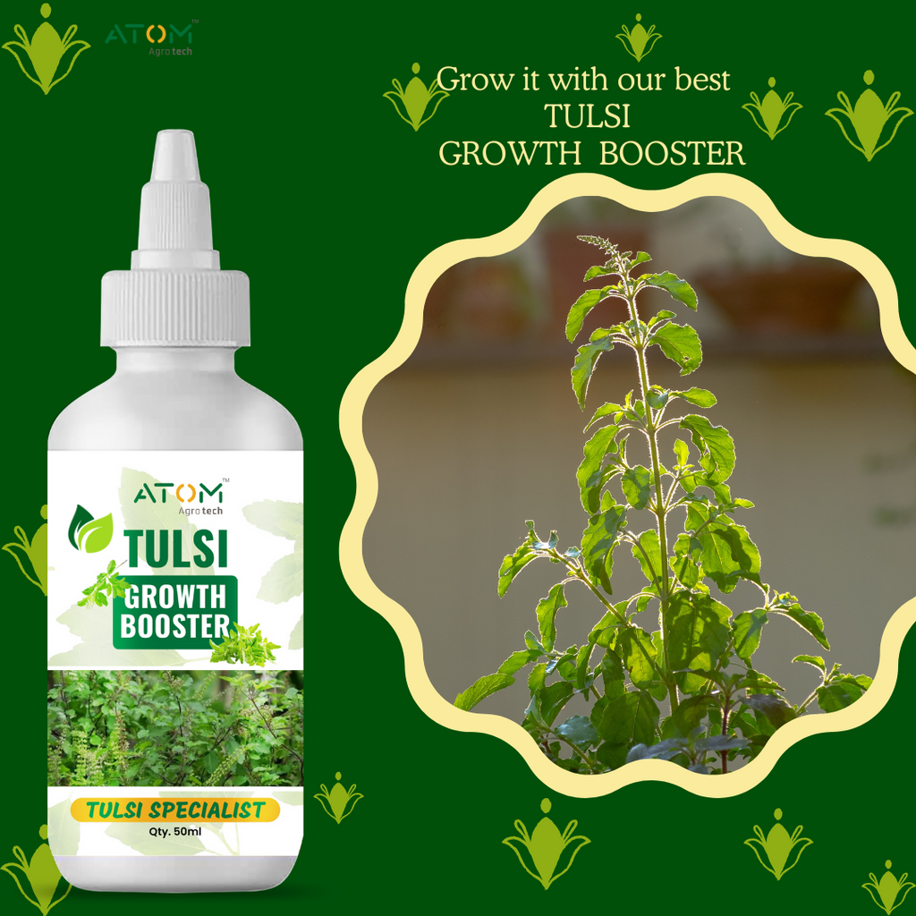 Tulsi Boost Specialist 50ml