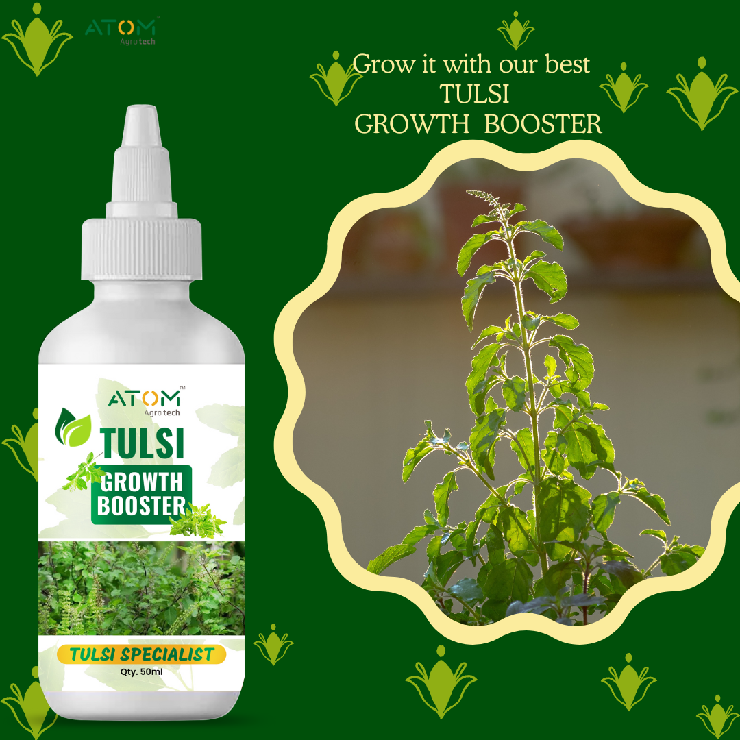 Tulsi Boost Specialist 50ml