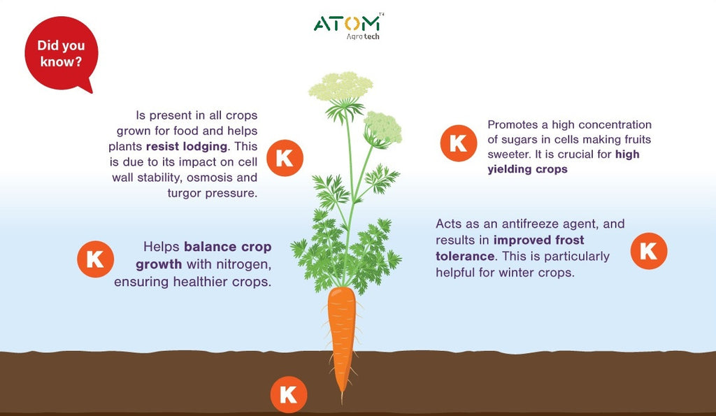 Organic Bhumi Urja(BIO DAP)