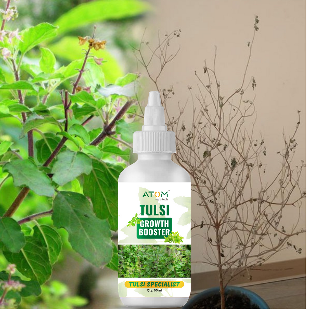 Tulsi Boost Specialist 50ml