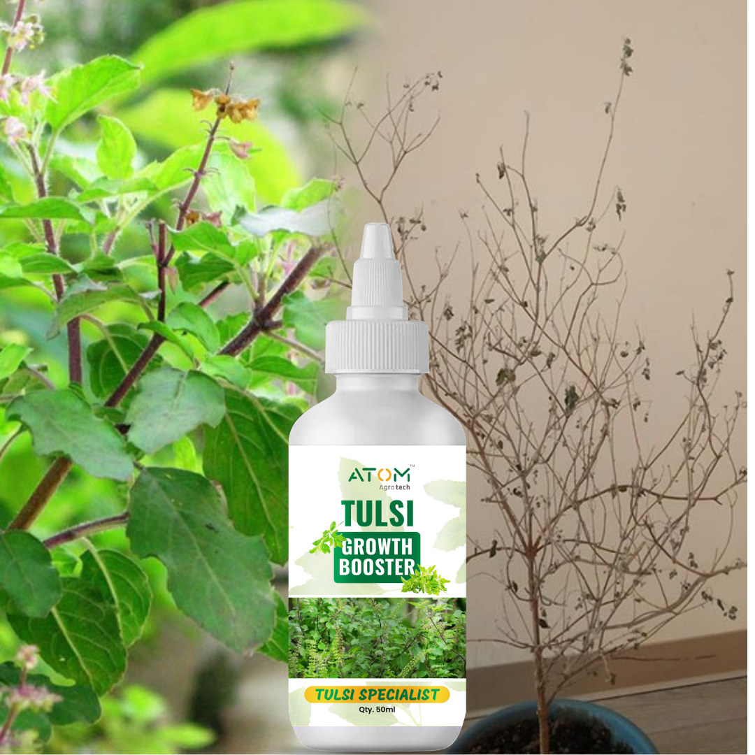 Tulsi Boost Specialist 50ml