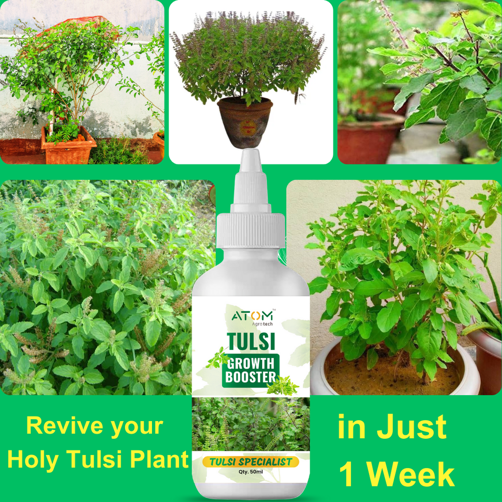 Tulsi Boost Specialist 50ml