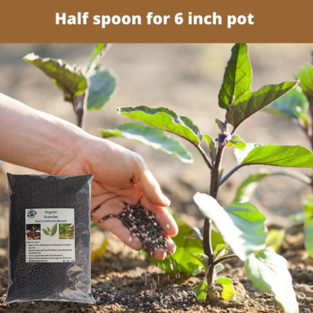 Organic Bhumi Urja(BIO DAP)