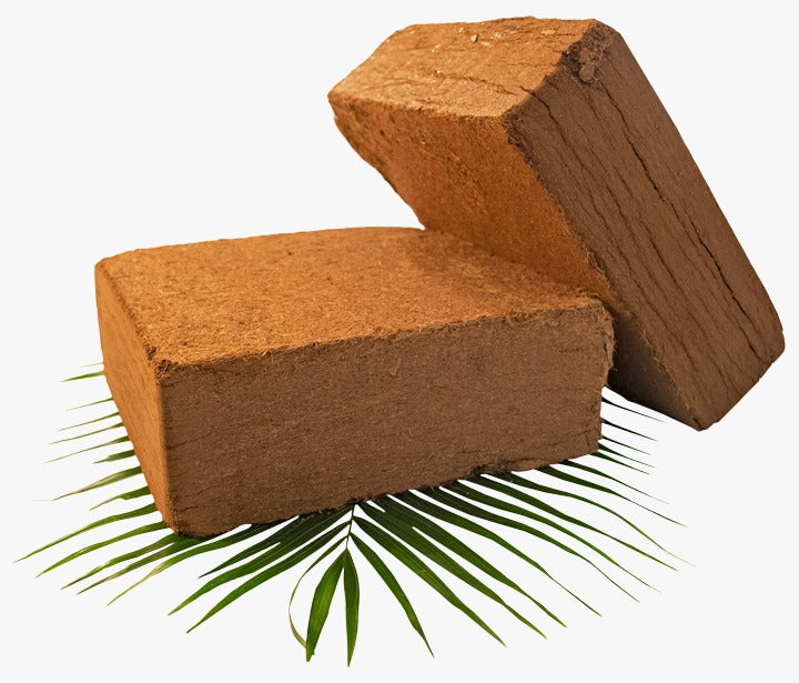 Cocopeat Block