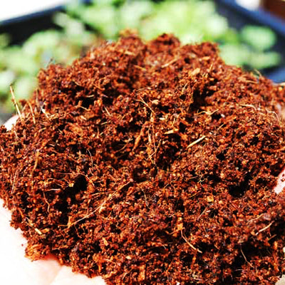 Cocopeat Powder