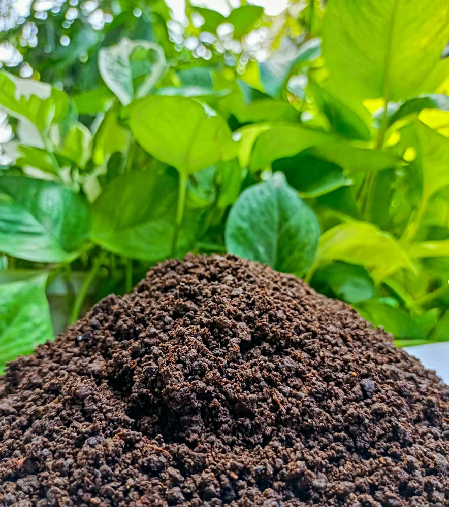 Atom Organic Vermicompost
